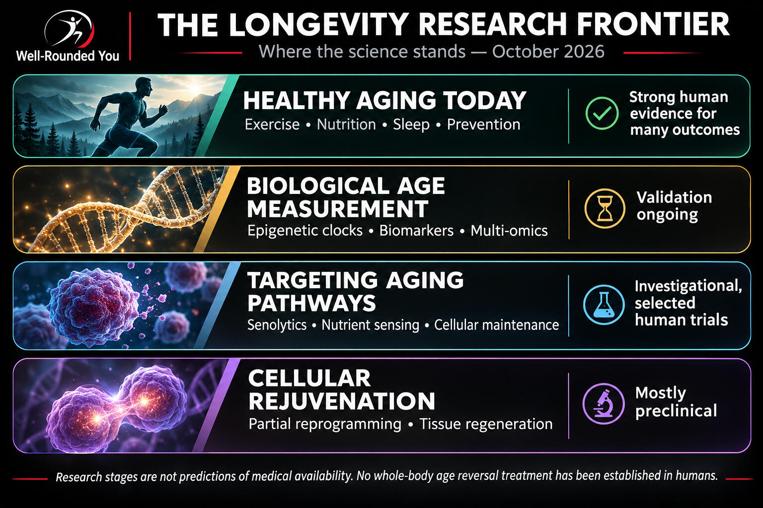 Longevity Research illustration Illustration of several major longevity research areas and their different levels of scientific evidence.